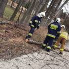 Fotka nr 1 z 13