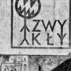 Fotka nr 2 z 4