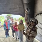 zdjęcie nr 15
