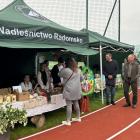zdjęcie nr 12