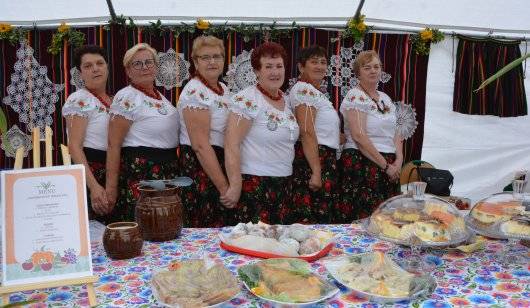 Dożynki w Wielgomłynach