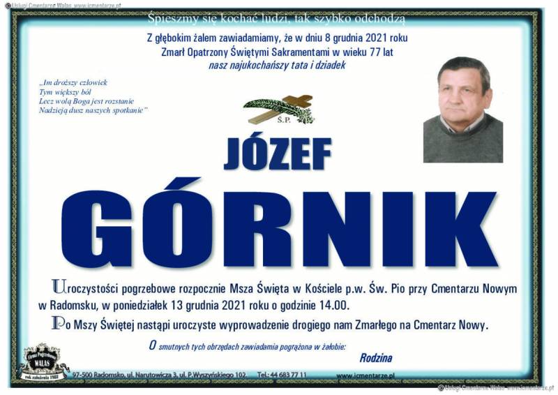 Józef Górnik