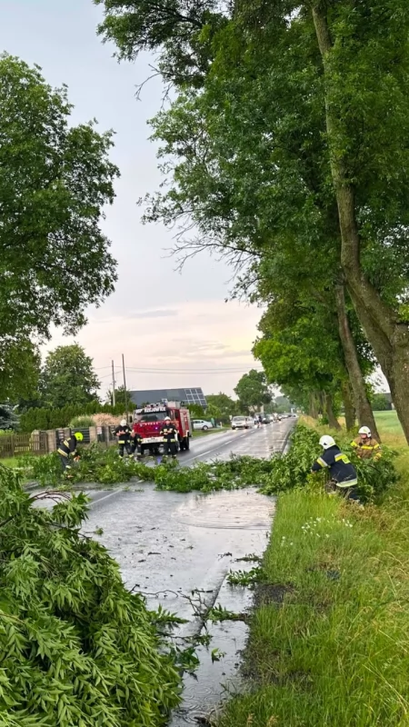 Najpierw upał, teraz silny wiatr i burza. Strażacy już mają co robić