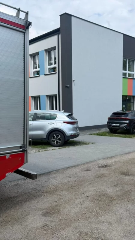 Szerszenie założyły gniazdo na placu zabaw przy szkole. Wezwano strażaków