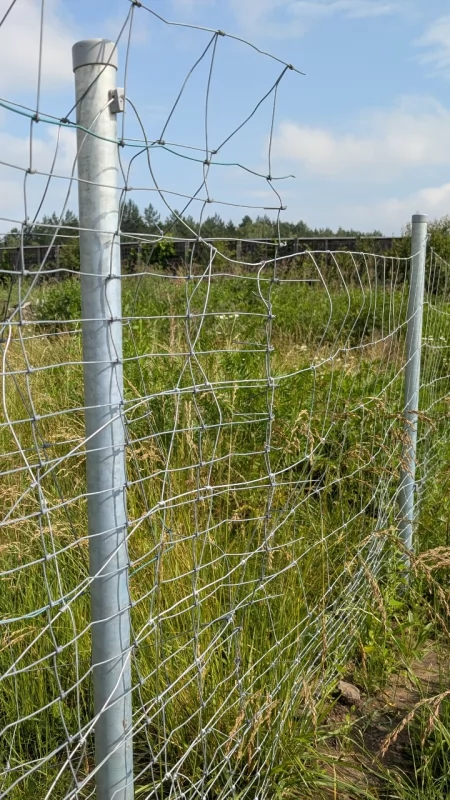 Uwaga choroba, przejścia (dla zwierząt) nie ma. A kosztowało 25 milionów złotych