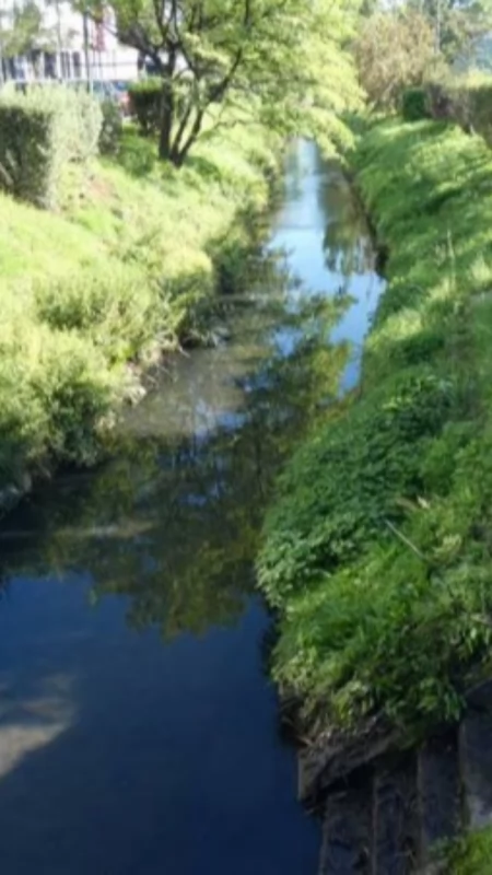 Pogłębią, oczyszczą, wytyczą poldery. Cztery firmy chcą przebudować Radomkę