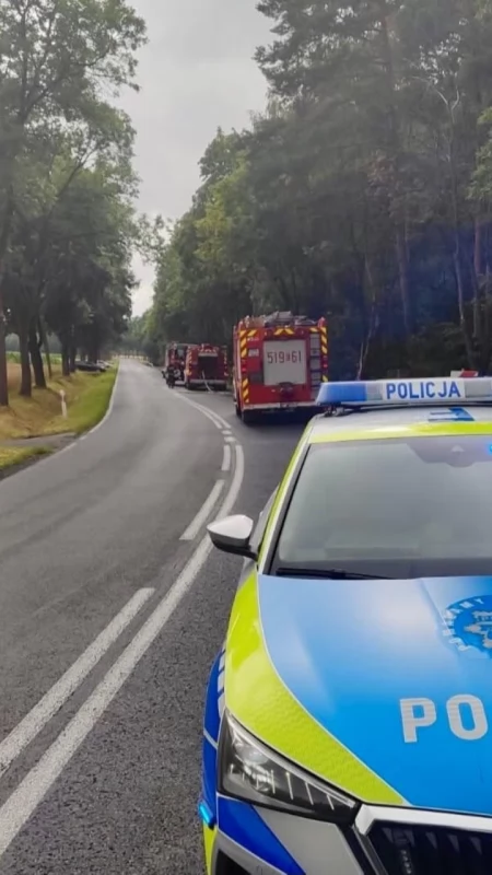 Kierowca wpadł w poślizg i dachował. Wypadek na drodze krajowej nr 42