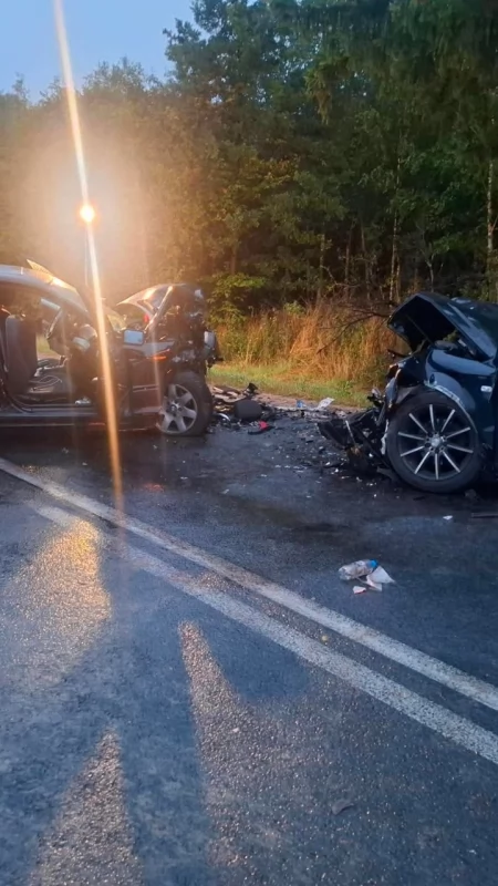Wypadek w Józefowie. BMW czołowo zderzyło się z Audi. Poszkodowanych jest siedem osób. DK 42 jest zablokowana