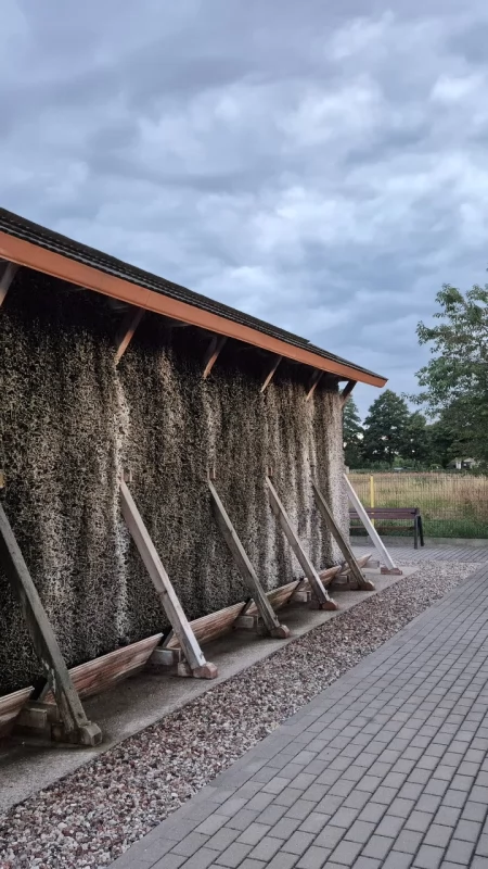 Tężnie na zdrowie? Nie bardzo: „Odnotowano większe stężenie bakterii kałowych niż w powietrzu pobranym z obór