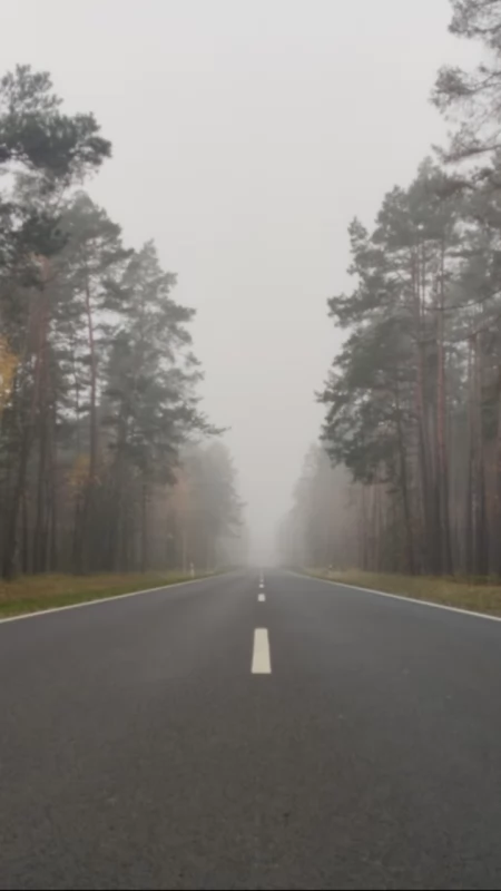 Wypadek w Kolonii Borowiecko. 32-letni motocyklista uderzył w zwierzę, a potem w znak drogowy