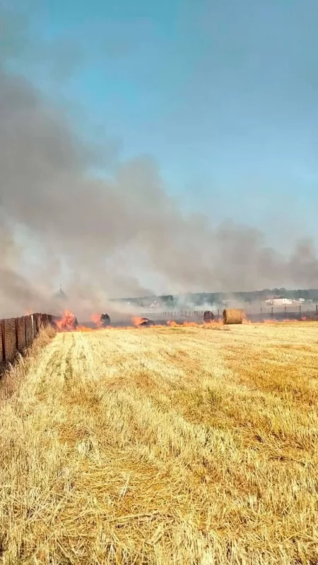 Pożar ścierniska w Kobielach Wielkich. Ogień zajął około półtora hektara. Mógł przenieść się na lasek i zboże