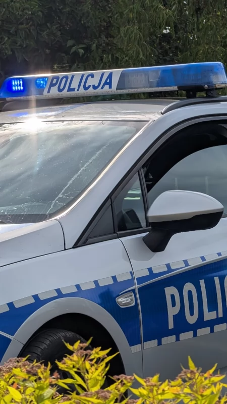 Kolizja w miejscowości Górki. Kierowca DAF-a zasłabł. Samochód wjechał w ogrodzenie