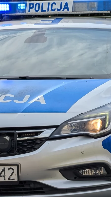 Toyota dachowała. 20-letni kierowca do policjantów: - Na drogę wybiegła sarna