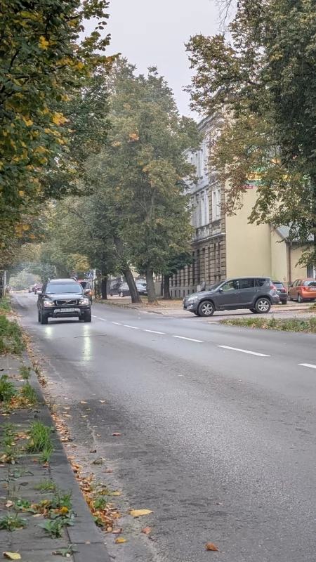 Pani Aleksandra: - Bez przystanku jesteśmy uwięzieni: Naczelnik: - Jest wzór, musi być zatoczka, ale nie ma miejsca. Przystanku na Kościuszki nie będzie
