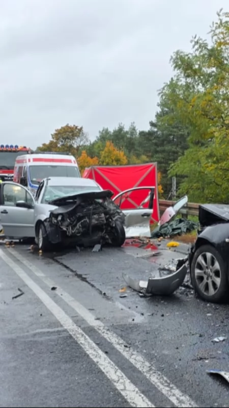 Wypadek na DK91 przed Kamieńskiem. BMW zjechało i uderzyło czołowo w Citroena. Nie żyje 77-latek