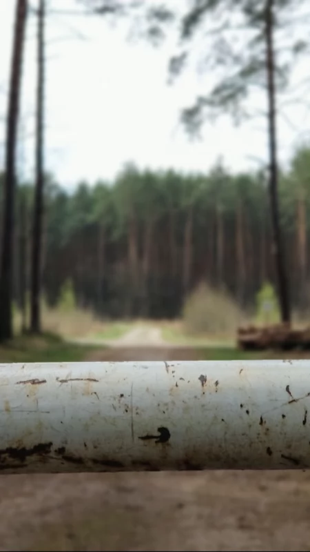 Czytelnik: - Co się stało ze szlabanem na Suchej Wsi? Nadleśnictwo: - Lasy otwierają się na ludzi