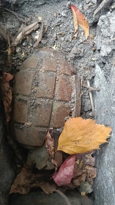 Granat na podwórku i niewybuchy w lesie. Wezwano saperów
