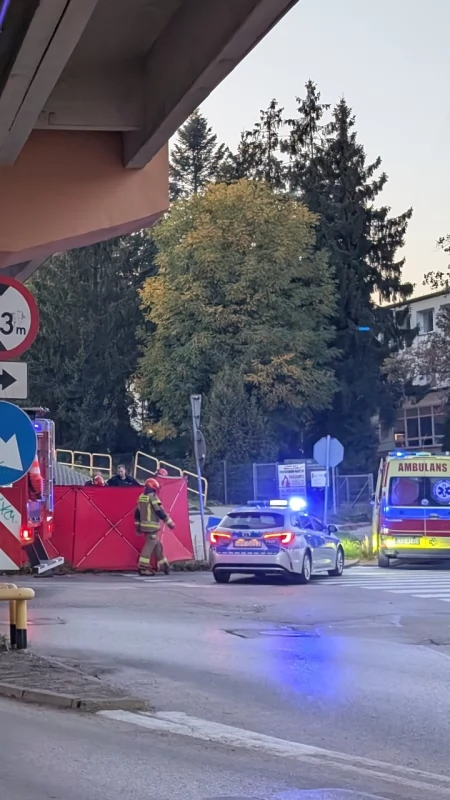 Wypadek pod wiaduktem. Na miejscu strażacy, ratownicy i policjanci 
