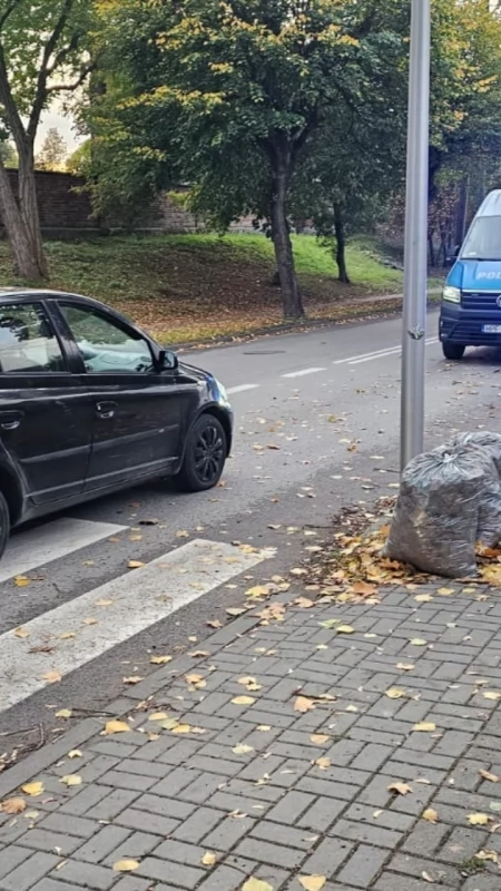 66-letnia kobieta kierująca Toyotą potrąciła 55 i 57-latkę. Na oznakowanych przejściu