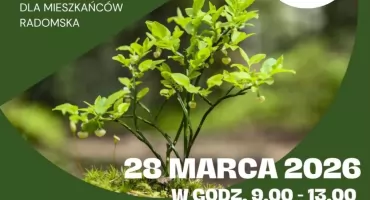 Zielone Radomsko. W sobotę znów rozdadzą tysiące drzewek