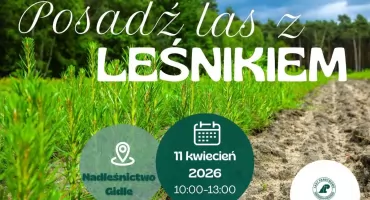 Wspólne sadzenie lasu z leśnikami w Niesulowie szansą na zieloną przyszłość