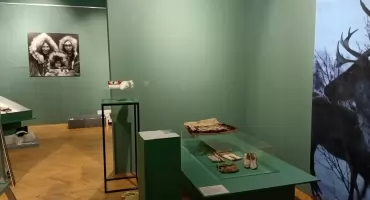Wystawa „Tropem renifera. Opowieść o kulturach Północy” dostępna dla lokalnej publiczności  w radomszczańskim muzeum