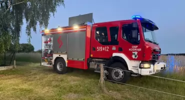 Pożar śmieci w miejscowości Widawka. To było zaprószenie ognia