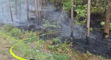 Ktoś podpalił las. Na szczęście pożar został wcześnie zauważony