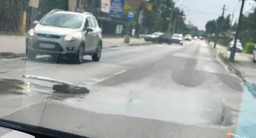 Czytelnik: Na Przedborskiej leje się woda. Kolejna awaria? PGK: - Spokojnie, dzisiaj zostanie naprawione