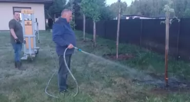 Stowarzyszenie Rozwoju Wsi Borowa posadziło drzewa dobre dla pszczół. Miododajne