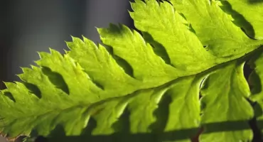 Leśne zakończenie wakacji w Podświerku. Lasy zamienią się w wielką grę terenową