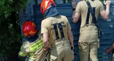 Nietypowe wezwanie do dzielnicy Miłaczki. Strażacy uwalniali psa, który zaklinował się w bramie