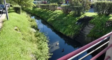 Kto przebuduje Radomkę? Miasto wybrało wykonawcę. Przebudowa ma zlikwidować miejskie powodzie