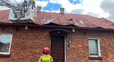 Strażacy wyjeżdżali do powalonych drzew. Wichura przeszła na powiatem
