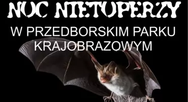 Noc Nietoperzy nad zalewem w Przedborzu