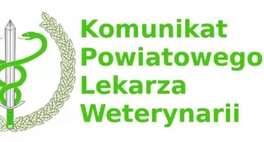 Wścieklizna wraca do Polski. Sprawdź jak chronić swoje zwierzęta