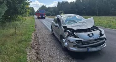 Kolizja w Pytowicach. Kierowca Peugeota nie uniknął zderzenia z łosiem