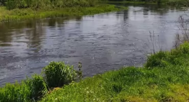 Pilica - Misja Czysta Rzeka. Kolejna edycja proekologicznej akcji w Przedborzu