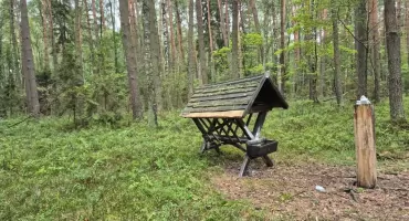 Jesień w lesie pod lupą Straży Leśnej. Trwa ogólnopolska akcja „Jesień 26”