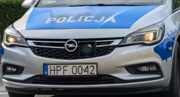 Toyota dachowała. 20-letni kierowca do policjantów: - Na drogę wybiegła sarna
