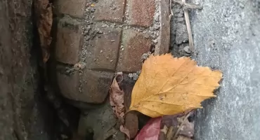 Granat na podwórku i niewybuchy w lesie. Wezwano saperów